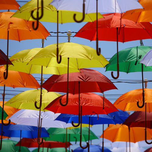 Umbrellas & Ponchos